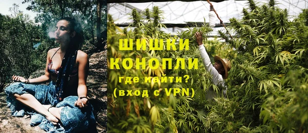 спайс Алексин
