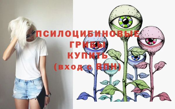 молекула духа Алексеевка