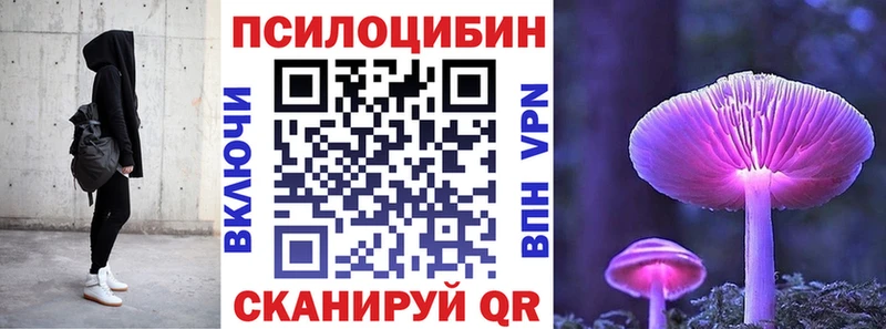 дарнет шоп  мега как зайти  Псилоцибиновые грибы ЛСД  Аткарск 